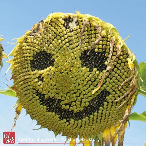 Sonnenblume mit Smiley-Gesicht 