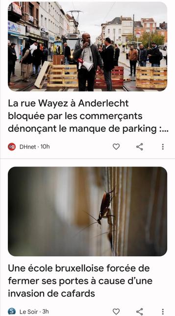 Numa rua de Anderlecht os comerciantes bloquearam o trânsito e o elétrico para protestar contra a "falta de estacionamento". 

Em Molenbeek uma escola fecha portas por causa de uma infestação de baratas.