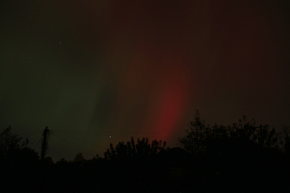 Night photo of the northern lights, dim red and ghostly green, with a pitch black silhouette of garden trees and bushes. The camera was east oriented.