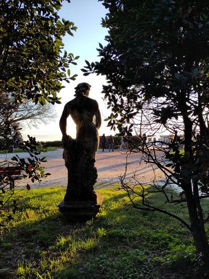 A naked male statue, seen through an opening in the vegetation, backlit.