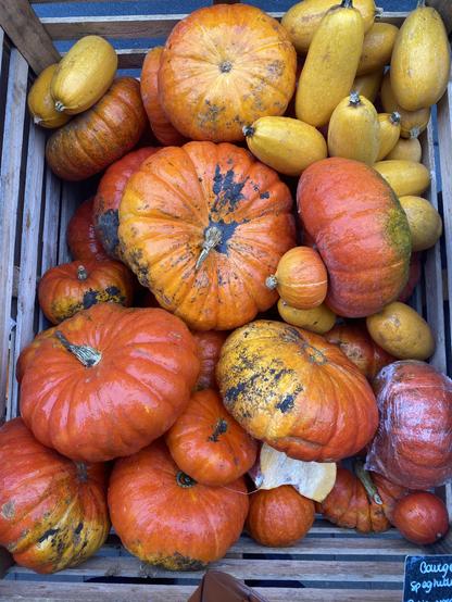 Box with various pumpkin 