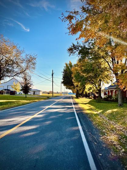 Road pas through a farm with golden trees