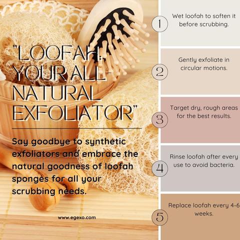 5 Tips And Tricks About Loofah: Your All-Natural Exfoliator