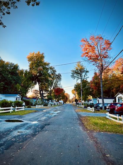 Red autumn trees in a trailer park