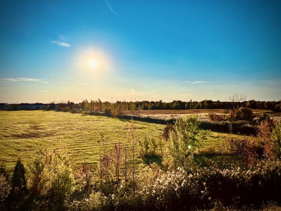 Autumn landscape with fields