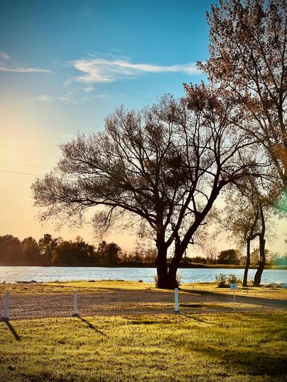 Saint Laurent River with foreground trees