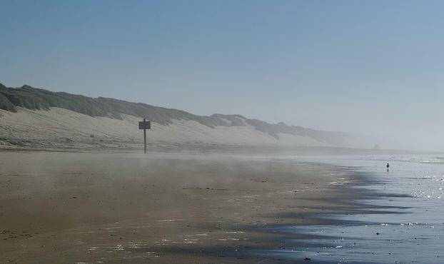 A misty beach scene featuring gentle waves lapping at the shore, with soft sand and sand dunes in the background. A signpost stands on the beach, and a solitary bird is visible near the water's edge. The sky is clear and blue. 