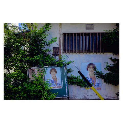 This photo shows two identical election posters featuring a smiling candidate. They are mounted on a board in front of a white building, but nature is staging a silent takeover. Thick green bushes encroach on the board, partially obscuring one of the posters. A yellow-tipped pole leans diagonally across the frame, further interrupting the scene. Above the posters, a small barred window hints at an aging building tucked behind the greenery. 