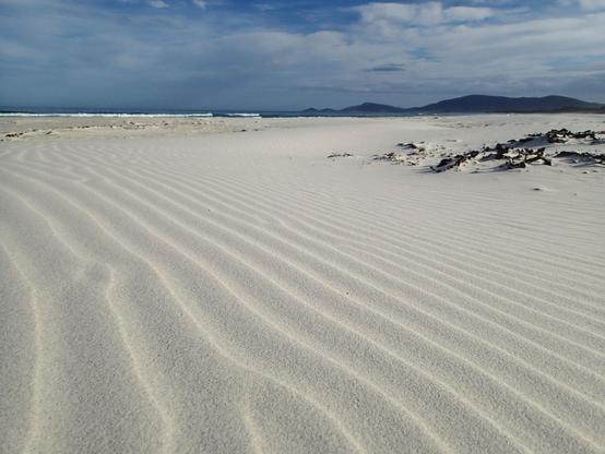 A photo of a secluded beach, bathed in afternoon sunlight. The foreground shows windswept corrugations in the sand. The corrugations lead the eye toward a breaking wave far off in the distance. Some low hills on the horizon sit beneath mottled clouds in the sky.