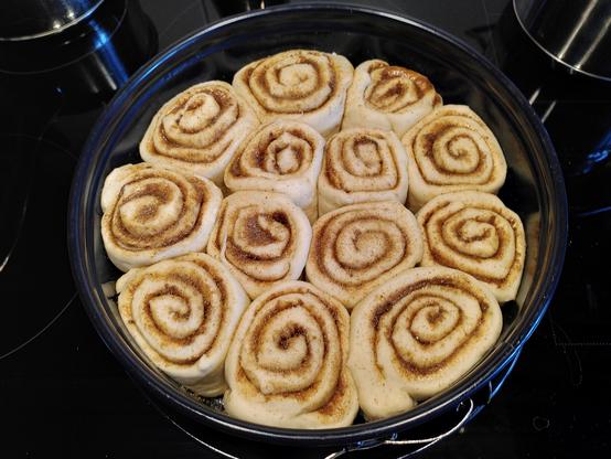Back-Rundform mit 13 Zimtschnecken vor dem Backen.