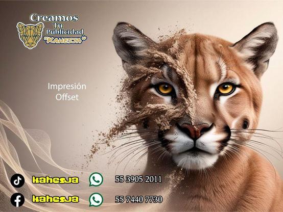 kahesja publicidad Xochimilco