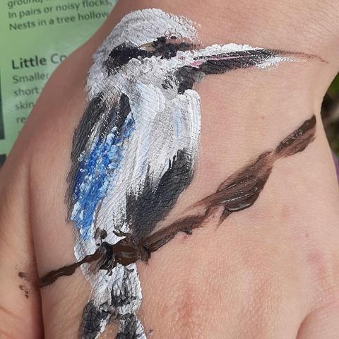 Hand painted Sacred Kingfisher - kookaburra 
Grey white head and chest feathers. Blue wings. Brown beak and claws to hold onto branches with.