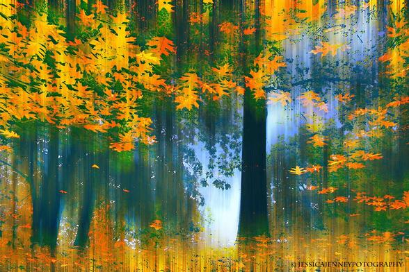 Autumn leaves are captured in vibrant shades of orange and green, creating a sense of motion and transformation within a forest setting. Tall trees stand silhouetted against a soft, misty background, enhancing the depth and mood of the scene. 