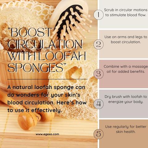 5 Tips And Tricks About Boost Circulation with Loofah Sponges