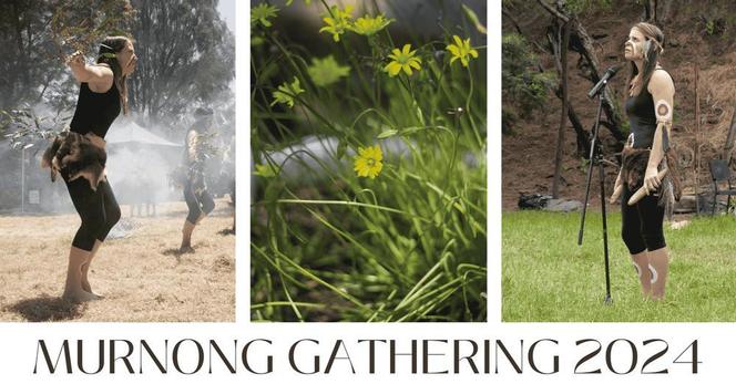 Text:
Murnong  / Yam Daisy Gathering 2024

Three photographs 
First Nations Wurrunjeri dancers 
and speaker with clapsticks 
Yellow flower yam daisy / Murnong 