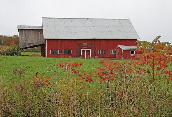 An old red barn in a green field with colorful fall foliage in the foreground.