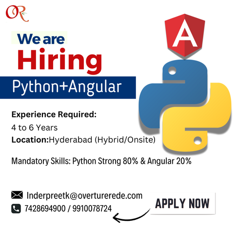 Python + Angular Jobs