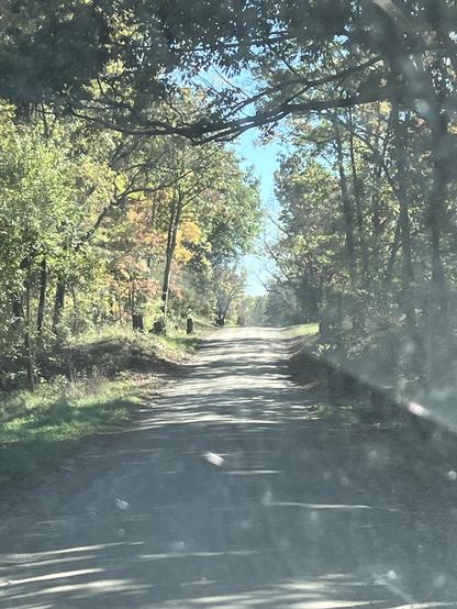 Going through a tunnel of trees on the dirt roads of south central Michigan. 