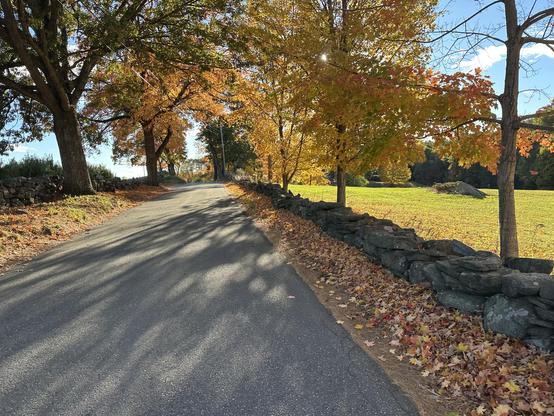 A rural Road in Central Massachusetts with a Stonewall on the right. I am facing west into a setting sun, which is illuminating the maples and birches. On the right is a green field and on the left is an apple Orchard.
