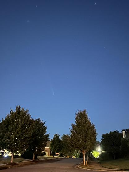 Comet about 10° above the horizon with a wispy  tail pointing straight up to the top left, in a bright blue evening twilight sky, above a suburban street with young trees