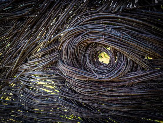 A photograph of a wattle fence woven from willow branches, looking very much like the shape of a human eye. 
