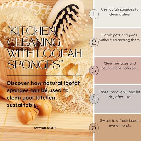 5 Tips And Tricks About Kitchen Cleaning with Loofah Sponges