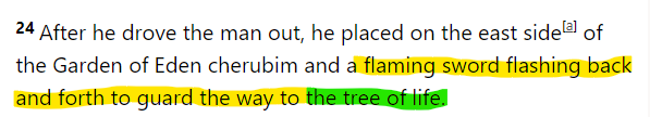 After he drove the man out, he placed on the east side of the Garden of Eden cherubim and a flaming sword flashing:back and forth to guard the way to thewtreamofilife! 