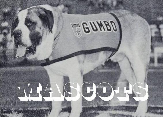 Black-and-white photo of a big Saint Bernard dog with its tongue hanging out, wearing a New Orleans Saints “jersey” that says GUMBO.

The bottom of the image includes a large graphic of the word “MASCOTS”