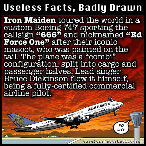 Iron Maiden toured the world in a custom Boeing 747 sporting the callsign "666" and nicknamed "Ed Force One" after their iconic mascot, who was painted on the tail. The plane was a "combi" configuration, split into cargo and passenger halves. Lead singer Bruce Dickinson flew it himself, being a fully-certified commercial airline pilot.