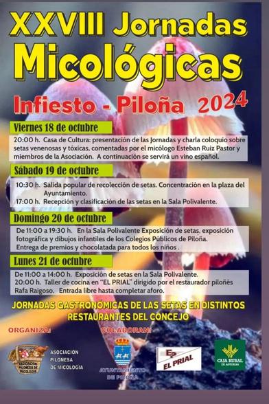 XXVIII JORNADAS MICOLÓGICAS EN #PILOÑA #ASTURIAS 2024
#Infiesto 19/21 octubre