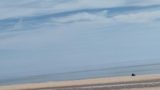 Sea, sand, blue skies and the horizon.