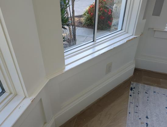 Before, showing pet damage