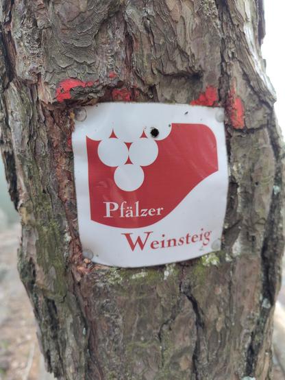 Pfälzer Weinsteig - Etappe 5