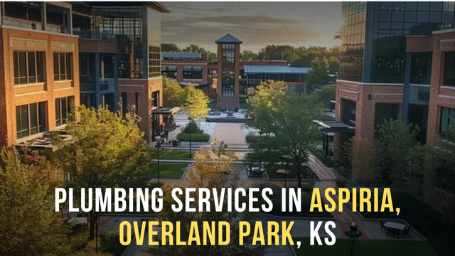 Plumbing Services in Aspiria, Overland Park, KS