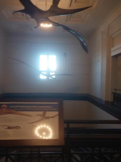 Pteranodon (/təˈrænədɒn/; from Ancient Greek: πτερόν, romanized: pteron 'wing' and ἀνόδων, anodon 'toothless')[2][better source needed] is a genus of pterosaur that included some of the largest known flying reptiles, with P. longiceps having a
