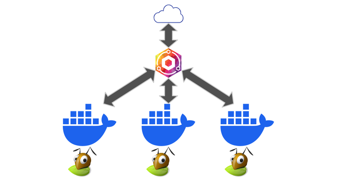 A Cloud symbol at the top that is connected the nginx-proxy-manager logo. The nginx-proxy-manager logo is connected to three docker logos. Under each docker logo is a gluster logo.