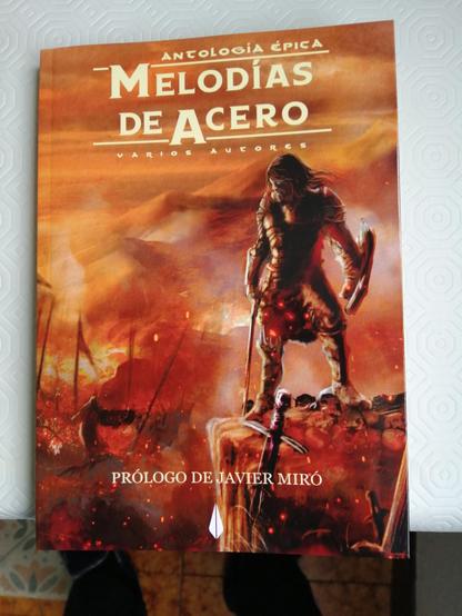 Portada de Melodías de Acero.

Bajo el titulo se ve el paisaje de una batalla en tonos pardos y rojizos. Un guerrero barbaro, con espada y escudo observa la carnicería desde lo alto de un barranco.
