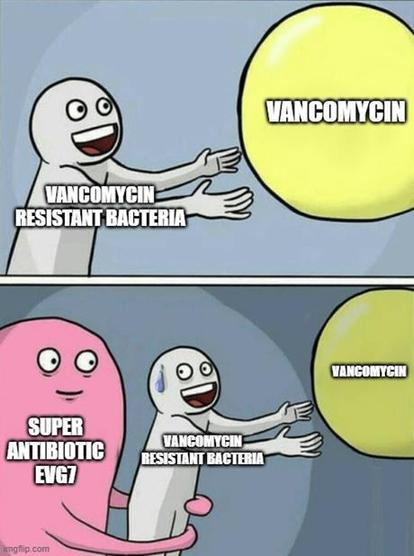 Meme showing Vancomycin resistant bacteria laughing at vancomycin, but then being surprised by super antibiotic EVG7