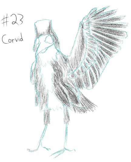 Same crow but lasso tool used to resize wing to get a better idea of what went wrong in the sketch layer. Probably will just delete the entire wing if I can get a better reference