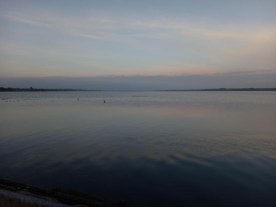 Wir schauen direkt aufs Wasser, dass ganz ruhig ist. Man kann ein paar Enten und zwei Graureiher sehen, der Himmel ist noch in zarten Sonnenaufgangsfarben