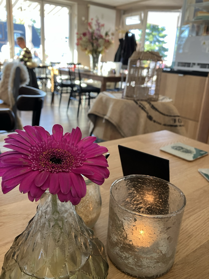 Blume mit Café im Hintergrund 