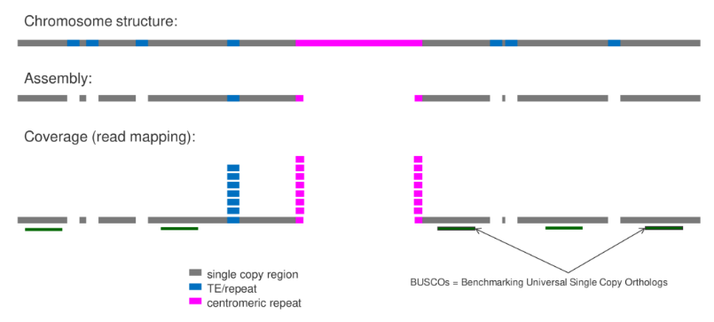 Concept of MGSE. Figure reference: https://doi.org/10.1101/607390
