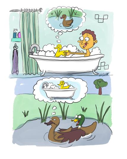 Ein Cartoon in zwei Bildern: auf dem oberen Cartoon sieht man einen Jungen, der freudig in der Wanne mit seiner Quietscheente spielt, die sichtlich genervt ist und von einem Leben in einem Weiher im Park träumt.
Auf dem unteren Cartoon sieht man, im Vergleich zum oberen Cartoon eine Ente, die, genervt vom Erpel, der sich an sie heranmacht, von einem Leben als Quietschentchen im Schaumbad träumt.