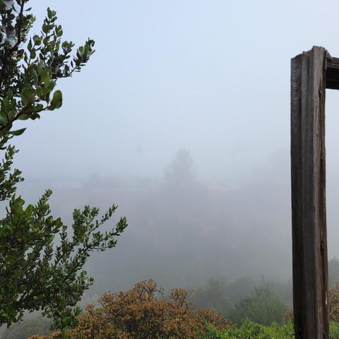 A piece of old dark wood fence frames the right edge of a suburban canyon filled with fog.