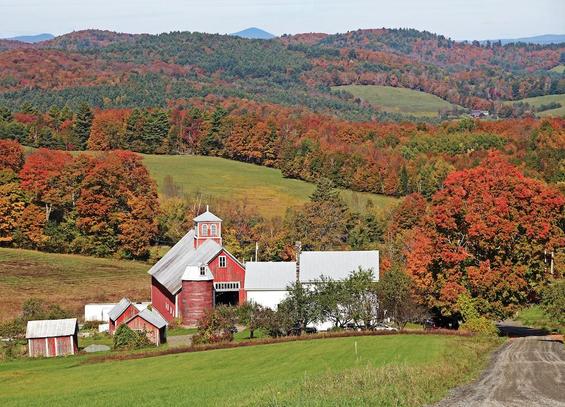 A view looking down on a Vermont farm surrounded by brilliant fall foliage.