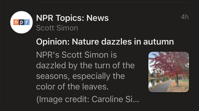 Screenshot of an NPR article preview. The headline is “Opinion: Nature dazzles in autumn”. The author is Scott Simon.