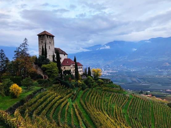 A castle on the top of a hill with a vineyard below