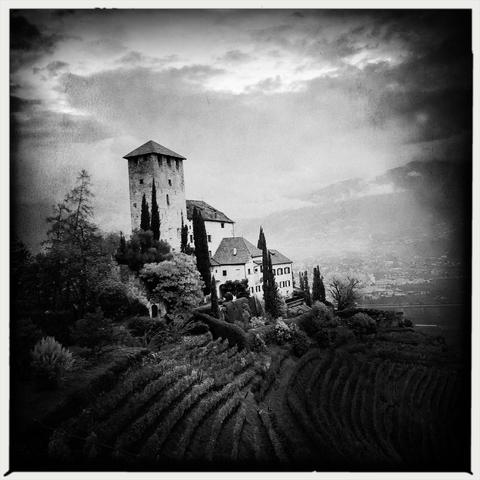 Un castello su di una collina con i vitigni sottostanti