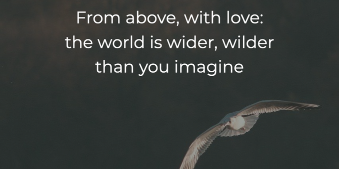 poem with image of a bird in flight:

From above, with love:
the world is wider, wilder
than you imagine