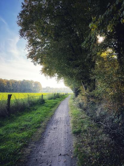 A narrow footpath along the edge of a forest on the right, and some green meadows on the left. Large trees bend over the footpath, the sun shyly lurks through their leaves, it‘s hazy in the distance. 